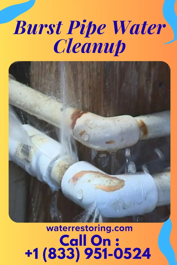 Burst Pipe Water Cleanup in Parnell, IA