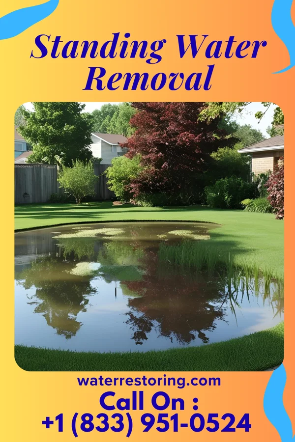 Standing Water Removal in Parnell, IA